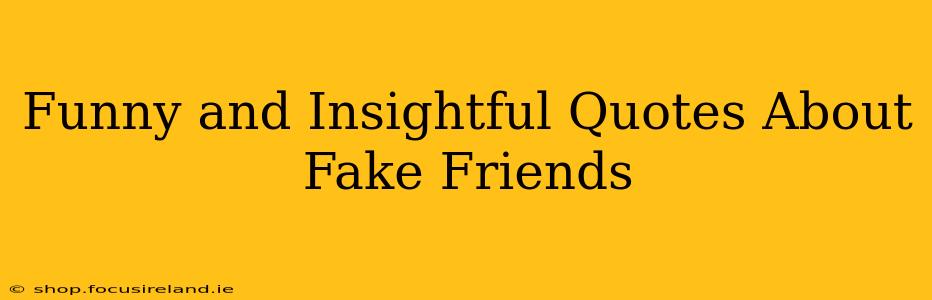 Funny and Insightful Quotes About Fake Friends