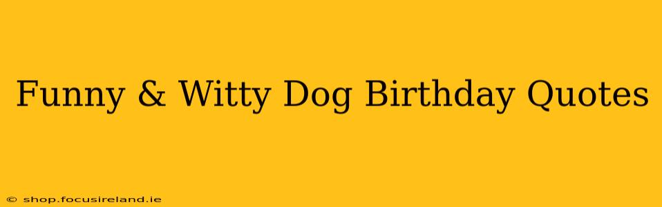Funny & Witty Dog Birthday Quotes