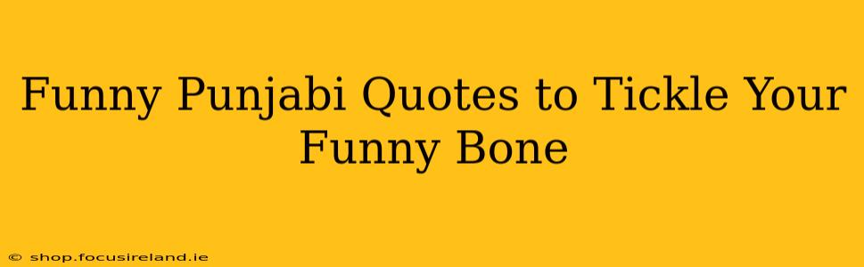 Funny Punjabi Quotes to Tickle Your Funny Bone