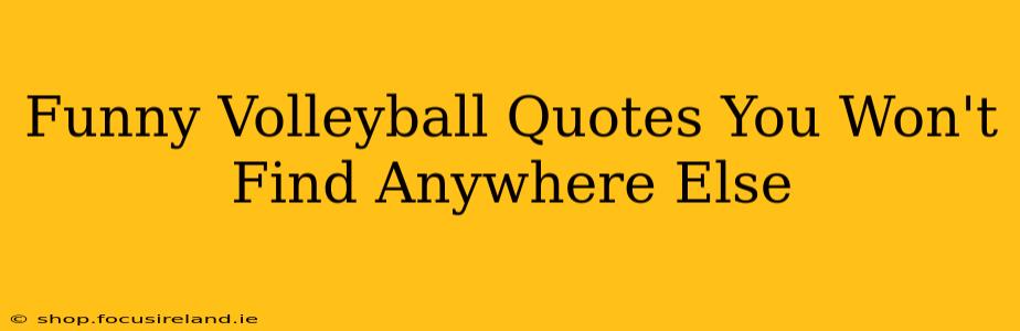 Funny Volleyball Quotes You Won't Find Anywhere Else