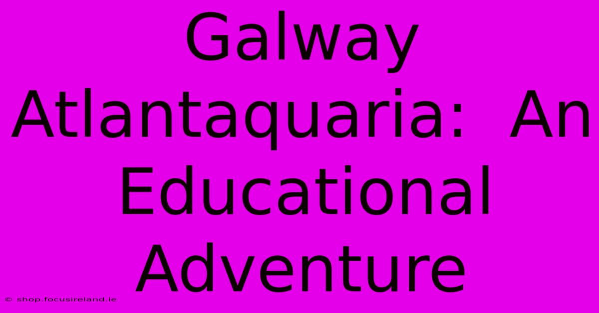 Galway Atlantaquaria:  An Educational Adventure