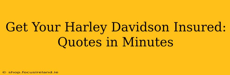 Get Your Harley Davidson Insured: Quotes in Minutes
