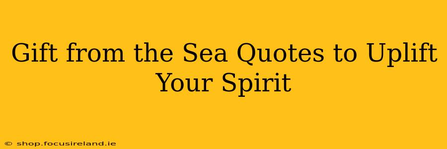 Gift from the Sea Quotes to Uplift Your Spirit