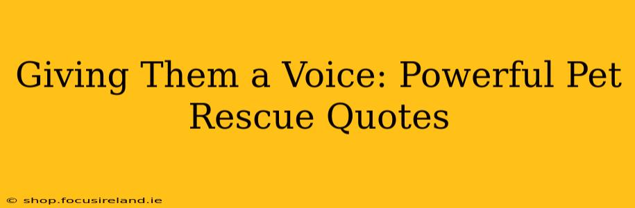 Giving Them a Voice: Powerful Pet Rescue Quotes