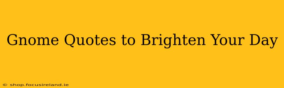 Gnome Quotes to Brighten Your Day