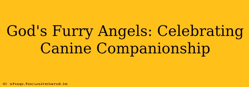 God's Furry Angels: Celebrating Canine Companionship