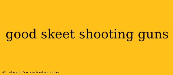 good skeet shooting guns