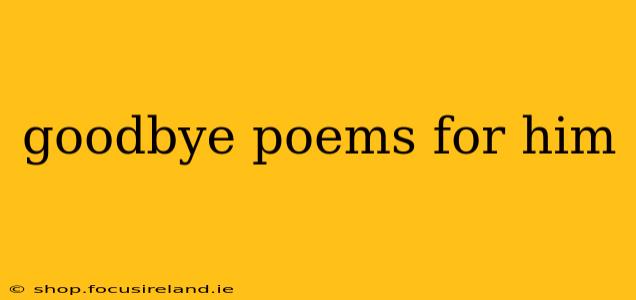 goodbye poems for him
