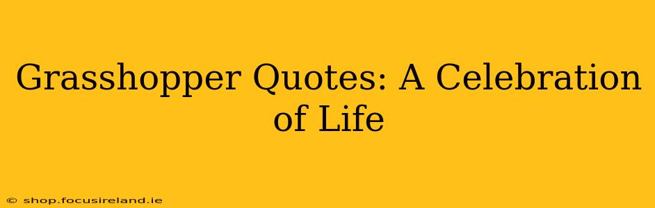 Grasshopper Quotes: A Celebration of Life