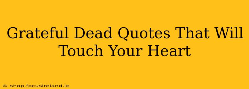 Grateful Dead Quotes That Will Touch Your Heart