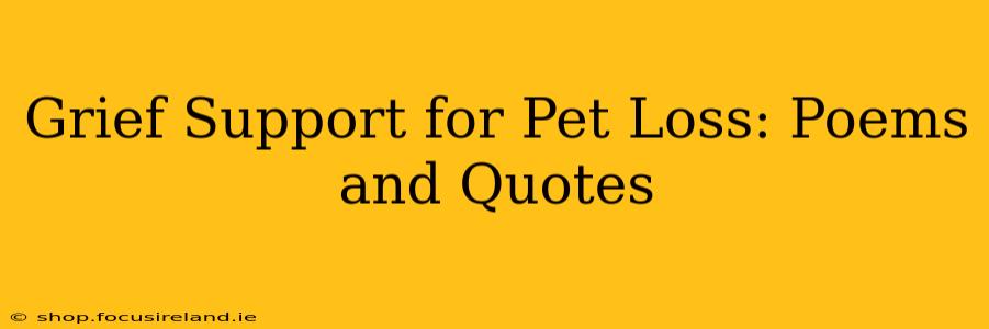 Grief Support for Pet Loss: Poems and Quotes