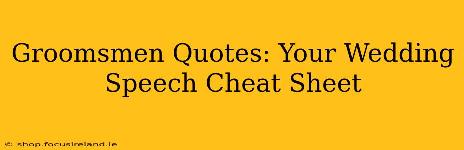 Groomsmen Quotes: Your Wedding Speech Cheat Sheet