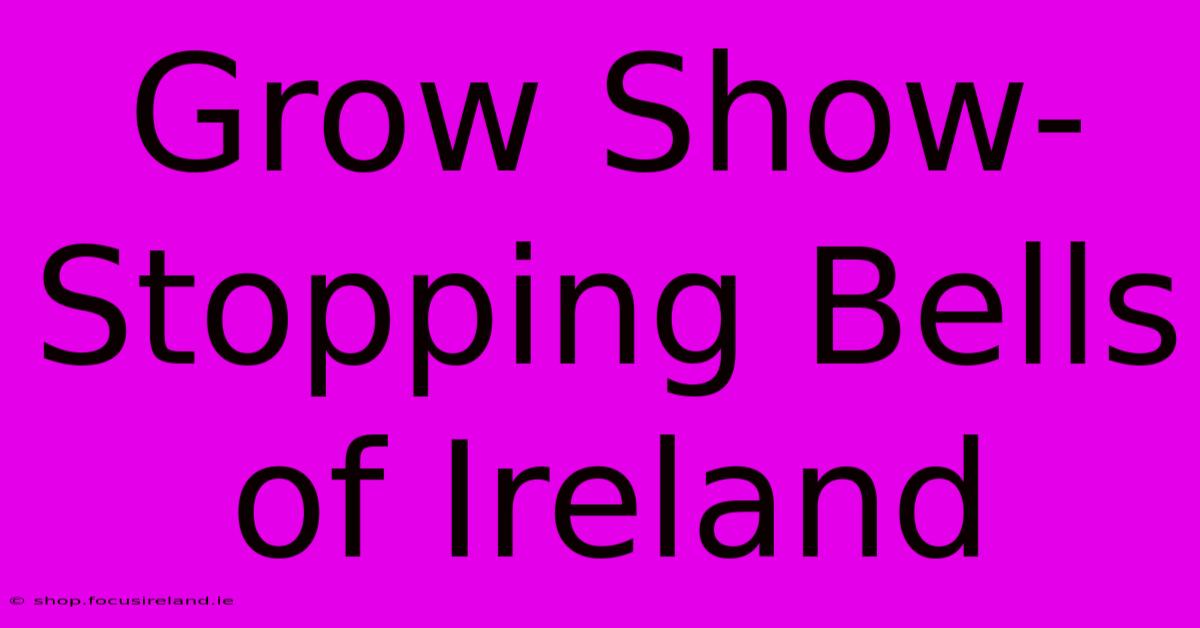 Grow Show-Stopping Bells Of Ireland