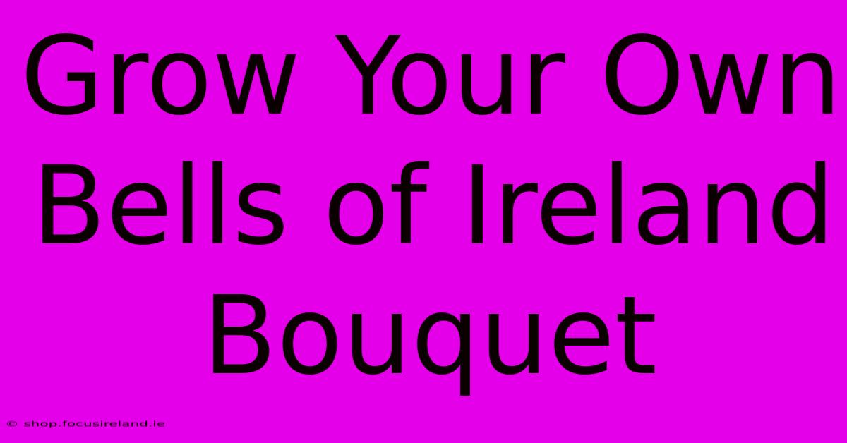 Grow Your Own Bells Of Ireland Bouquet