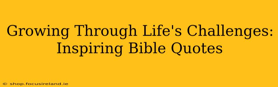 Growing Through Life's Challenges: Inspiring Bible Quotes