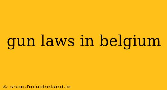 gun laws in belgium
