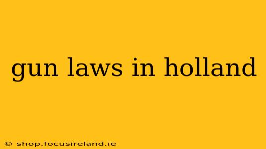 gun laws in holland
