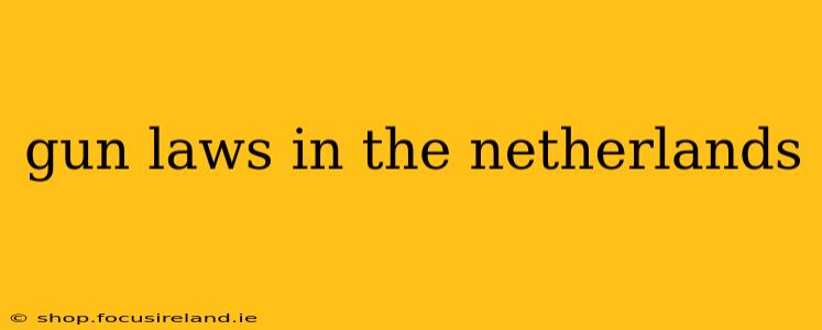 gun laws in the netherlands