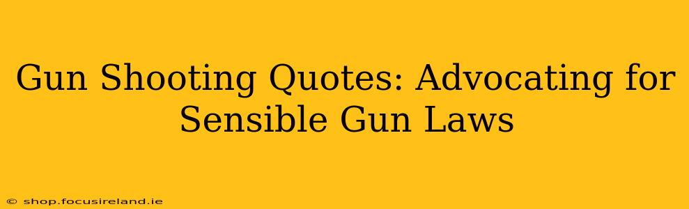 Gun Shooting Quotes: Advocating for Sensible Gun Laws