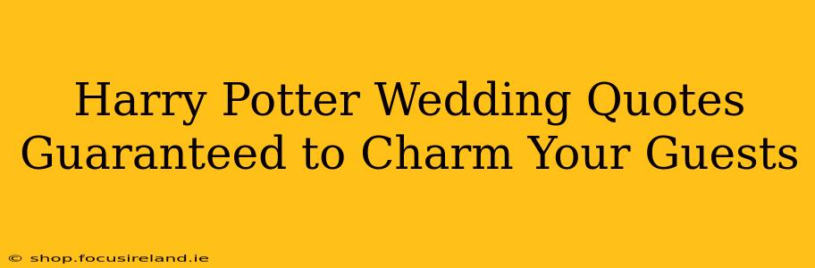 Harry Potter Wedding Quotes Guaranteed to Charm Your Guests