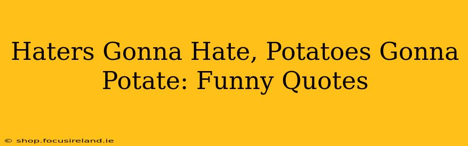 Haters Gonna Hate, Potatoes Gonna Potate: Funny Quotes