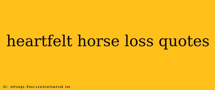 heartfelt horse loss quotes