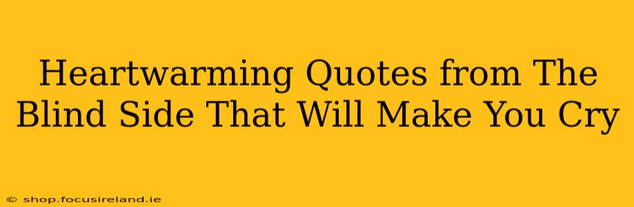 Heartwarming Quotes from The Blind Side That Will Make You Cry