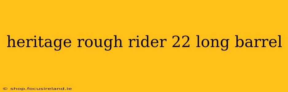 heritage rough rider 22 long barrel