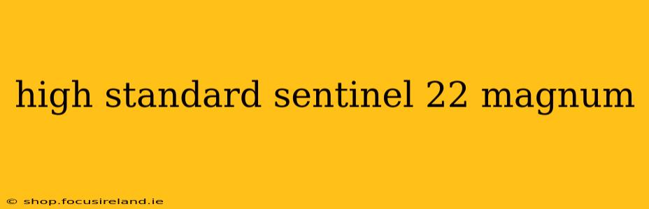 high standard sentinel 22 magnum