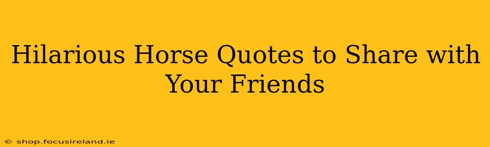 Hilarious Horse Quotes to Share with Your Friends