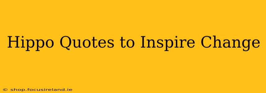 Hippo Quotes to Inspire Change