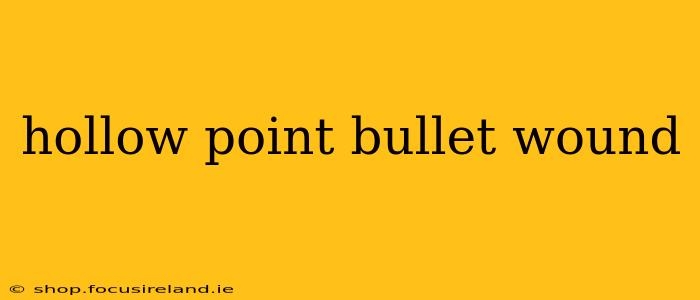 hollow point bullet wound