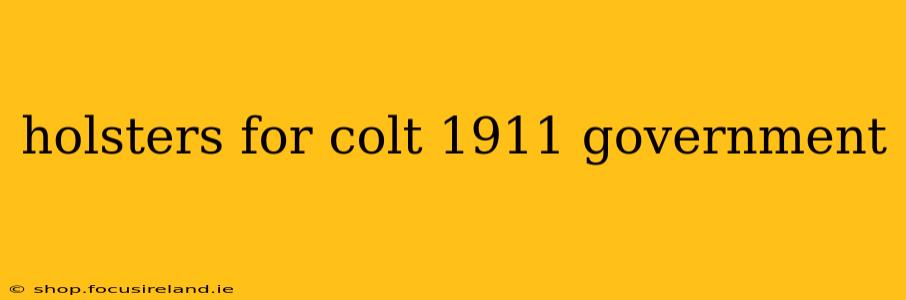 holsters for colt 1911 government