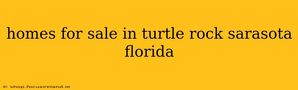 homes for sale in turtle rock sarasota florida