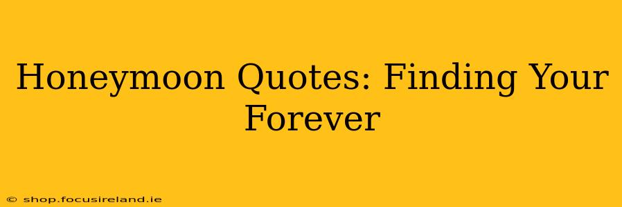 Honeymoon Quotes: Finding Your Forever