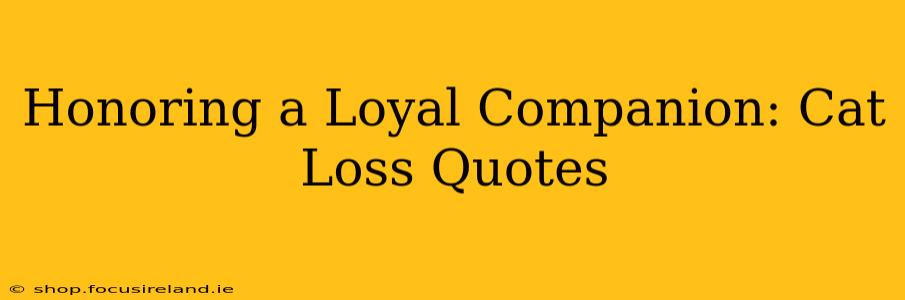 Honoring a Loyal Companion: Cat Loss Quotes