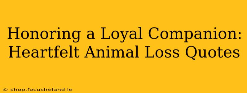 Honoring a Loyal Companion: Heartfelt Animal Loss Quotes