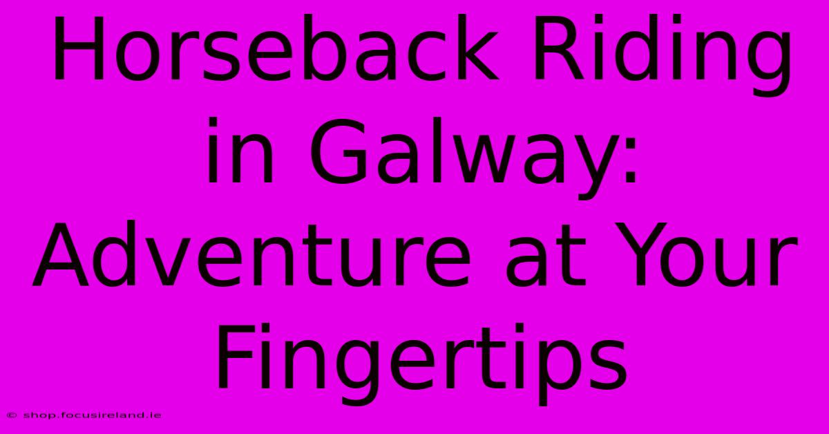 Horseback Riding In Galway: Adventure At Your Fingertips