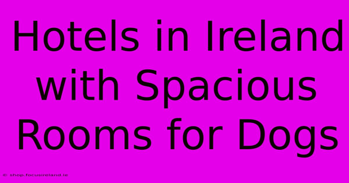 Hotels In Ireland With Spacious Rooms For Dogs