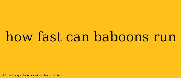 how fast can baboons run