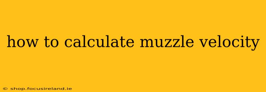 how to calculate muzzle velocity