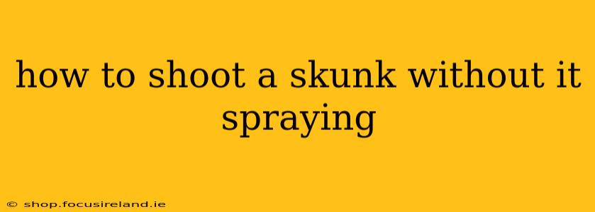 how to shoot a skunk without it spraying