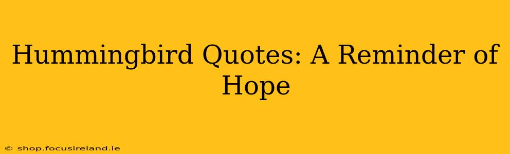 Hummingbird Quotes: A Reminder of Hope