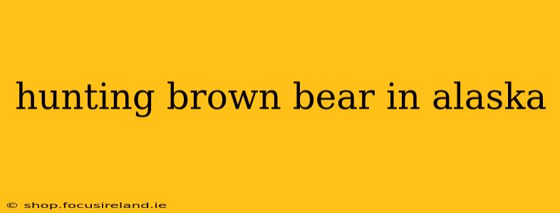 hunting brown bear in alaska