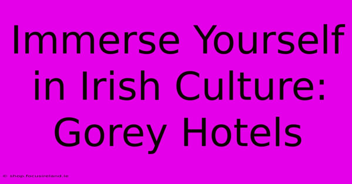 Immerse Yourself In Irish Culture: Gorey Hotels