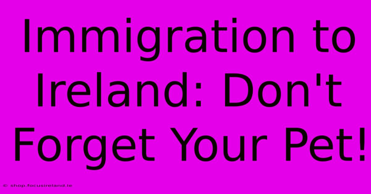 Immigration To Ireland: Don't Forget Your Pet!