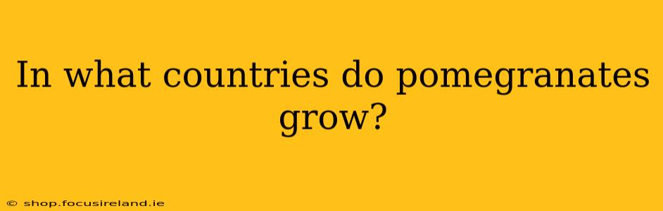 In what countries do pomegranates grow?