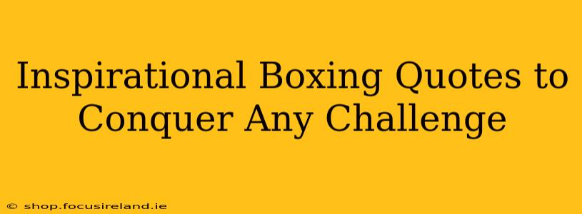 Inspirational Boxing Quotes to Conquer Any Challenge
