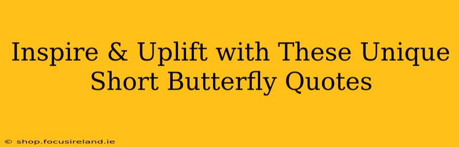 Inspire & Uplift with These Unique Short Butterfly Quotes