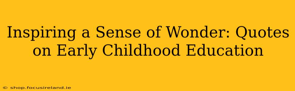 Inspiring a Sense of Wonder: Quotes on Early Childhood Education